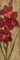 Vivid Red Gladiola on Gold Poster Print by Silvia Vassileva - Item # VARPDX4404